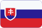 Сертификация бухгалтеров Slovensky